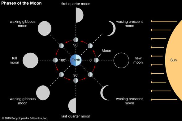 Ay'ın Güneş ışığı alan tarafı aydınlanırken diğer tarafı karanlıkta kalır. Bu sayede Ay'ın evreleri oluşur. Bu şemada Ay'ın görüntüsü &quot;bizim perspektifimize&quot; göre gösterilmiştir. Yani aslında alttaki &quot;last quarter&quot; ve &quot;waning crescent&quot; evrelerinde aydınlanan kısım Güneş'e bakmaktadır. Şekiller Dünya'dan bakıldıklarında nasıl gözüktüklerine göre verilmiştir.