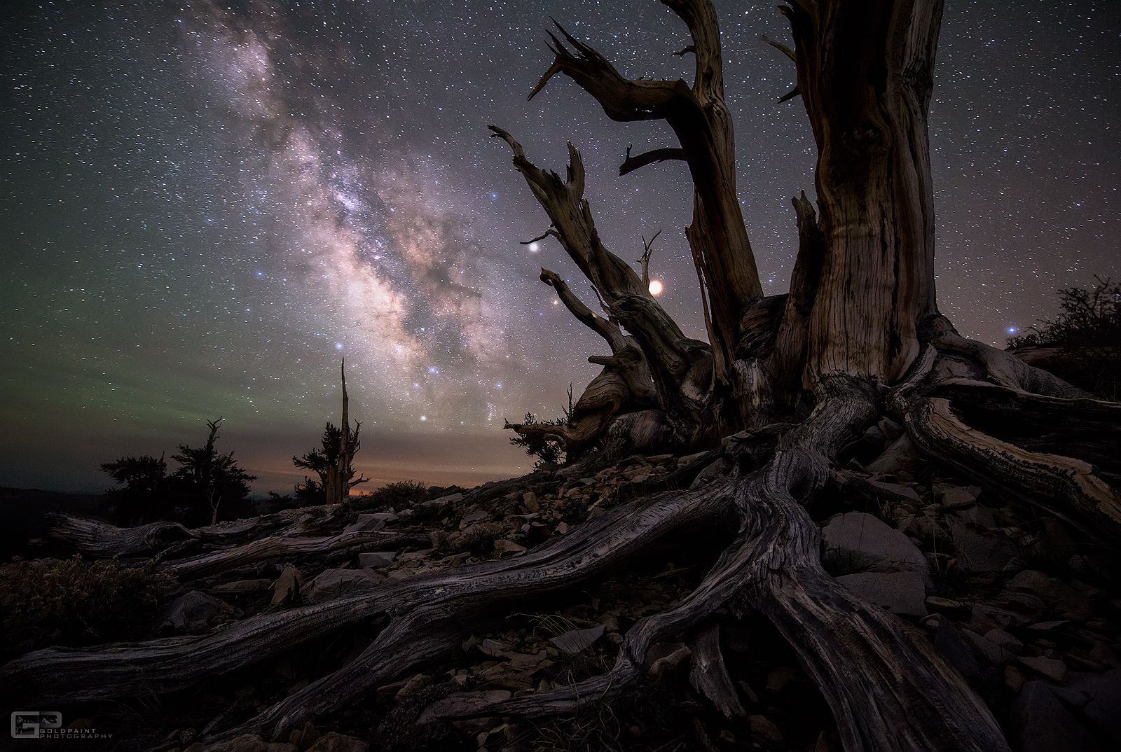  Galaxy and Planets Beyond Bristlecone Pines 