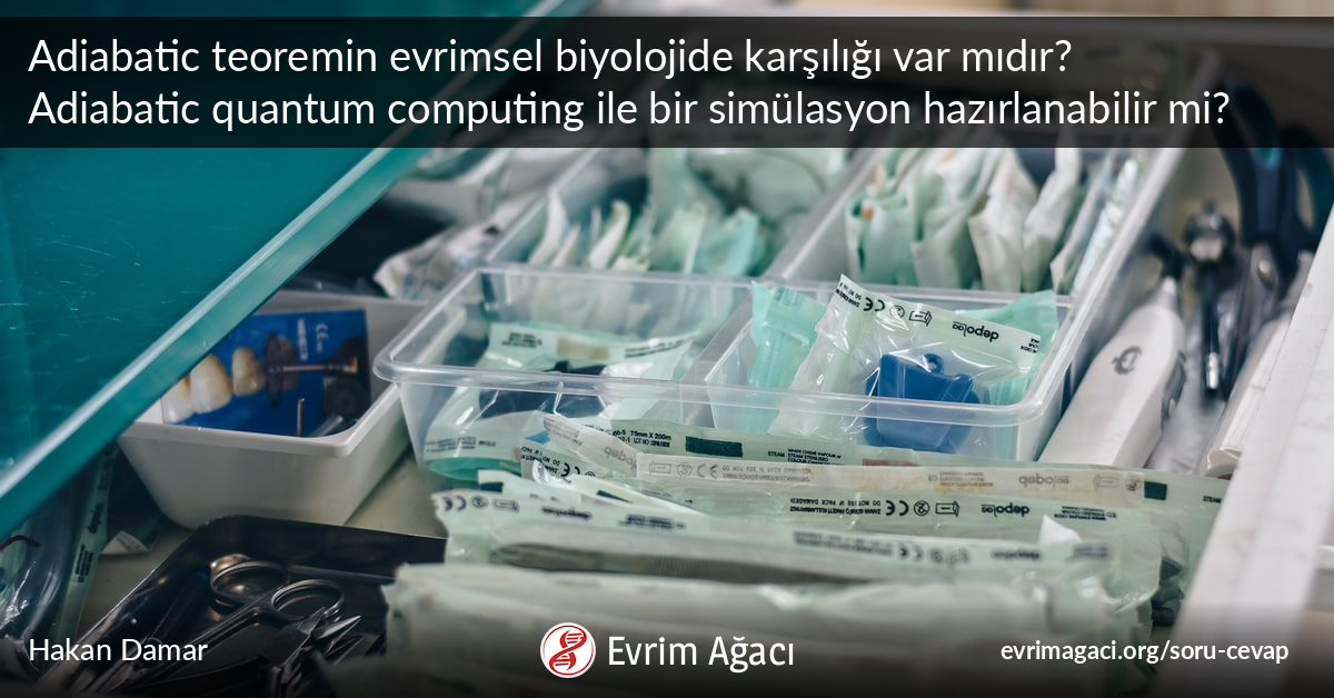 Adiabatic teoremin evrimsel biyolojide karşılığı var mıdır ...