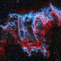  NGC 6995: The Bat Nebula 