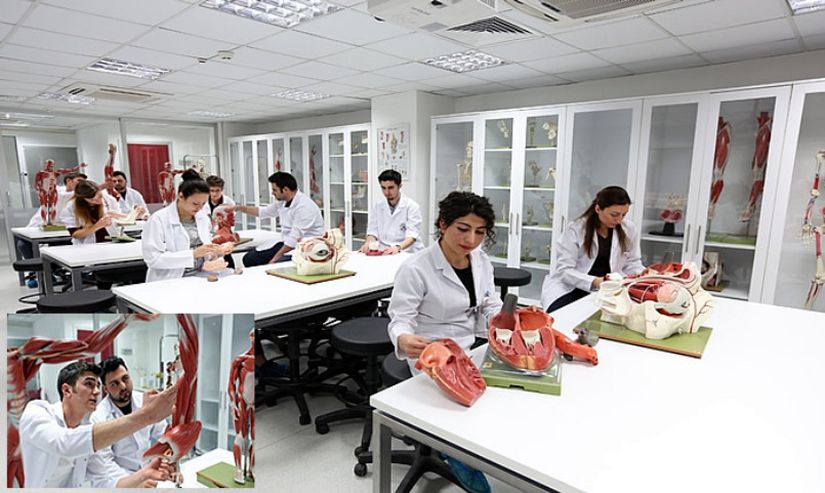 İstanbul Aydın Üniversitesi - Anatomi laboratuvarı