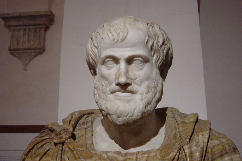 Spontane jenerasyonu sistematik olarak konu edinen ilk kişi Aristo olmuştur.