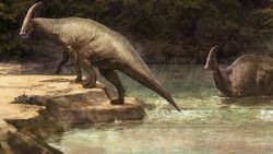 Dinozorlar Gerçekte Nasıl Sesler Çıkarıyordu ?