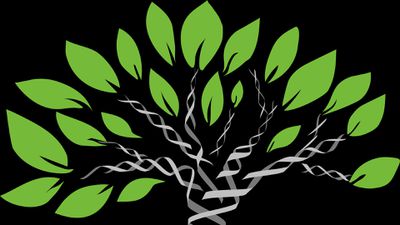 Evrim Ağacı Nasıl Yaratılır? Farklı Türleri Tek Bir Ağaç Üzerinde Nasıl Sınıflandırırız?