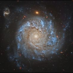  NGC 1309: Spiral Galaxy and Friends 