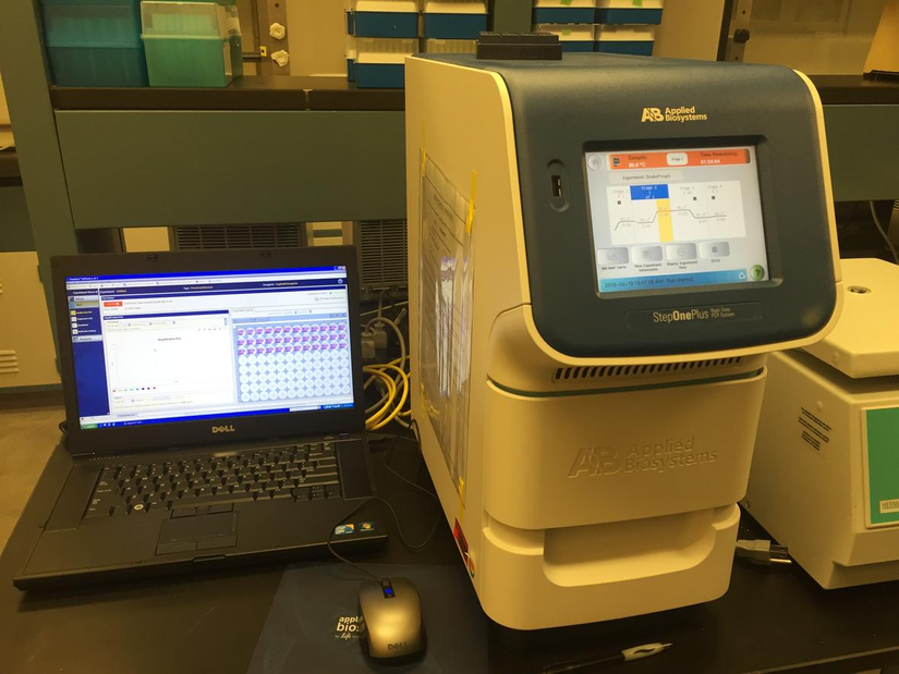 Gerçek Zamanlı PCR Cihazı
