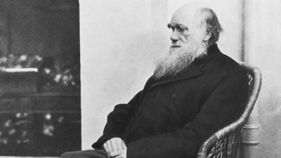 Charles Darwin'in Kendisinden Önce Gelenlerden Sentezlediği ve Kendi Bulgularıyla Geliştirdiği Evrim Teorisi'nin Kısa Bir Özeti