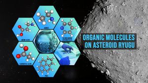 Asteroid Ryugu Reveals Secrets Of Organic Evolution