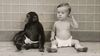 Şempanze ve Bebeği Bir Arada Büyütmek: Hangisi Hangisine Benzer?