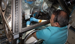 Boğaziçi Üniversitesi'nin Uzay Görevi: Mikroalgler, Uzayda Karbondioksiti Oksijene Dönüştürdü
