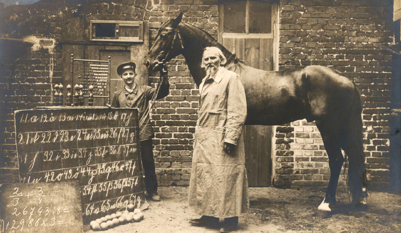 Gösteri atı Clever Hans, antrenörü Wilhelm von Osten ile, 1904.