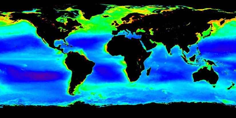 NASA'nın elde ettiği, dünya çapındaki planktonları gösteren resim. Resimde 1998 ile 2004 yılları arasında, kuzey yarımkürede ölçülen klorofil derişimi gösterilmekte. Bir plankton çeşidi olan fitoplanktonlar fotosentez yaparlar ve klorofil içerirler. Bu sebeple klorofil derişimini ölçmek, okyanuslarda ne kadar fitoplankton olduğunu anlamamızı sağlar.