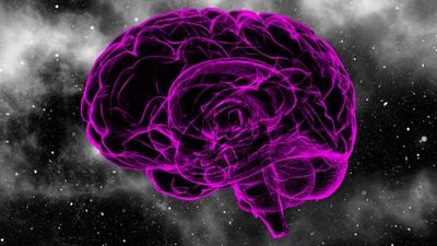 Kaostan Gelen Rastgele Düzen: Boltzmann Beyni Nedir?