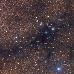  LDN 988: Dark Nebula in Cygnus 