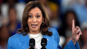 Harris Gains Traction Against Trump With Bold Economic Vision