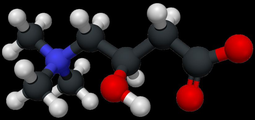 Karnitinin üç boyutlu moleküler şeması.