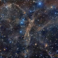  A Dust Angel Nebula 