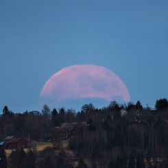  A Strawberry Moon 