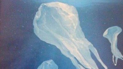 Okyanusların En Ölümcül Avcısı Plastik Poşetler ve Evrimin Bu Avcıya Cevabı