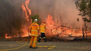 Sydney Wildfire Downgraded As Firefighters Tackle Northern Beaches Blaze