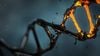 Karanlık DNA: Yerinde Olması Gereken Ama Olmayan Gen!