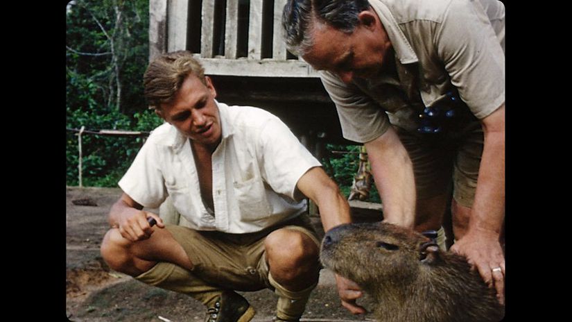 David Attenborough'un sunuculuğunu yaptığı, 1955 yılında Guiana'da çekilmiş Zoo Quest belgeselinden alınmış ve daha sonra renklendirilmiş bir fotoğraf.
