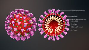 Koronavirüs Epidemiyolojisi ve Salgının Geleceğine Yönelik Modeller: COVID-19 Salgınından Neler Öğrendik?