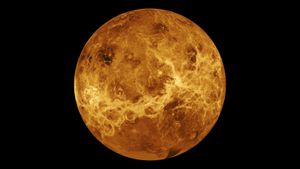 Phosphine Discovery Sparks New Insights On Life Possible On Venus