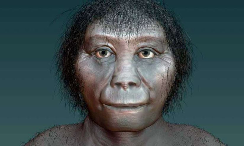 Homo floresiensis rekonstrüksiyonu