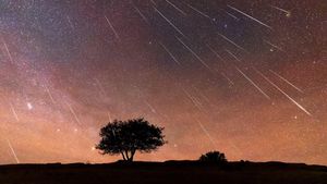 Perseids Meteor Shower Dazzles On August 11 And 12