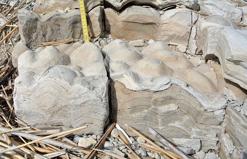 Estonya, Kübassaare yakınlarındaki Soeginina Yataklarında 425 milyon yıllık fosilleşmiş stromatolitler.