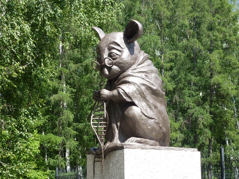 Bu heykel, Rusya'nın Novosibirsk kentindeki Sitoloji ve Genetik Enstitüsü'nde bulunan 1.8 metrelik bir heykel. Heykelin amacı ise başta fareler ve sıçanlar olmak üzere bilimin gelişiminde kullanılan hayvanları onurlandırmak. Çünkü onlar olmasaydı, modern bilim dahilinde yaptığımız keşif ve icatların önemli bir bölümüne bugün sahip olamayacaktık.