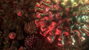 Asemptomatik SARS-CoV-2 Enfeksiyonları: Sessiz Taşıyıcılar, Klinik ve İmmünolojik Olarak Semptomlu Hastalardan Nasıl Farklılık Gösteriyor?