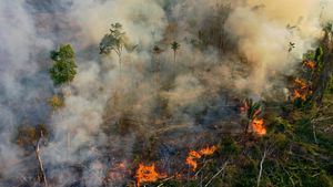 Is The Amazon Rainforest Nearing A Point Of No Return?