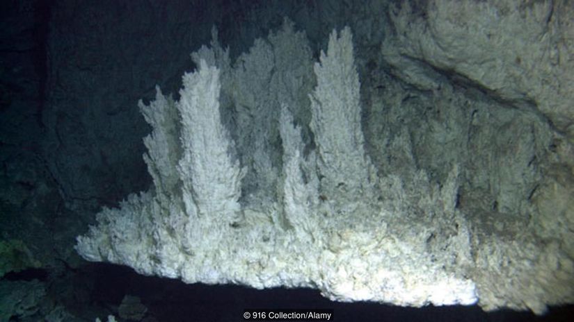 Atlantik'teki hidrotermal "Kayıp Şehir" alanının bir kısmı