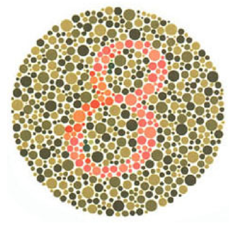 Plaka 2: Normal görüşlüler 8, kırmızı-yeşil renk körleri 3 sayısını görmeli.