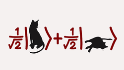 ''Schördinger'in kedisi''  paradoksunun kuantum fiziğinin anlaşılmasına katkısı nedir?