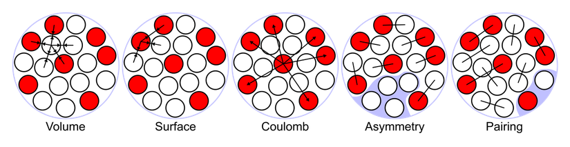 Atom çekirdeiğinin &quot;sıvı damla modeli&quot;, atom çekirdeğinin 5 farklı temel etkileşim (hacim enerjisi, yüzey enerjisi, Coulomb enerjisi, asimetri enerjisi ve çiftlenme enerjisi) ile bir arada tutulan bir damla olduğunu imgelemektedir. Bu model (teori), atom çekirdeğinin doğasına dair birçok detayı açıklayabilse de, kuantum olguların tamamını izah edemediği için en isabetli model olarak görülmemektedir. Son yıllarda nükleer kabuk modeli ve diğer kuantum modelleri daha ön plandadır.
