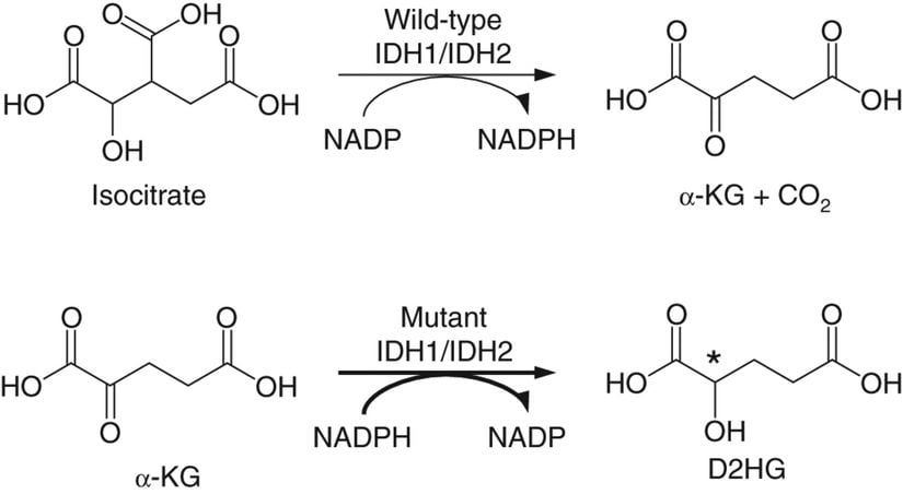 Mutant İzositrat Dehidrojenaz (IDH) enzimi