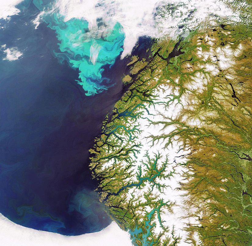 Avrupa Uzay Ajansı'na ait EnviSat uydusunun okyanus rengini görüntülemek amacıyla kullandığı METIS aracı ile 10 Haziran 2006'da çektiği bir resim.  Resimde Norveç kıyılarında bir alg patlaması görülmektedir (turkuvaz renginde).
