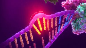 COVID-19 Tanısında En Güvenli Yöntem: Kantitatif Revers-Transkriptaz Polimeraz Zincir Reaksiyonu (QRT-PCR)