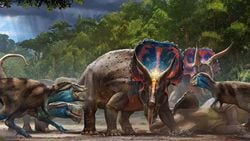 Triceratops Nedir? Gerçekten T. rex ile Savaşmış Olabilir mi?