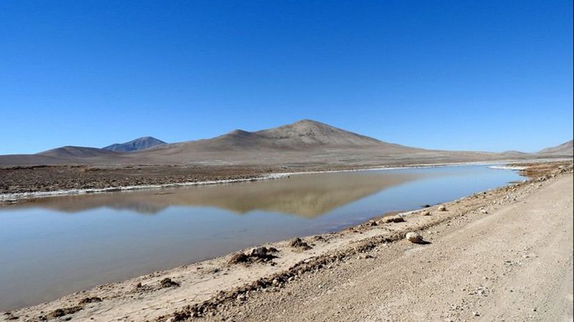 Atacama Çölü'nde bir vaha (çöllerde tarıma ve insan yaşamına elverişli bölge).