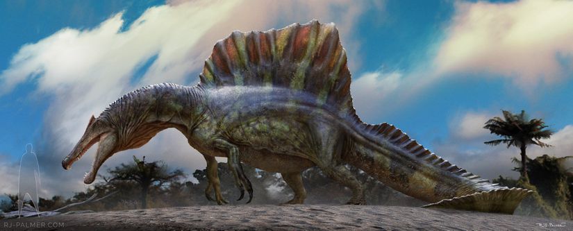 2020 itibari ile bilimsel olarak tutarlı Spinosaurus aegyptiacus illüstrasyonu.