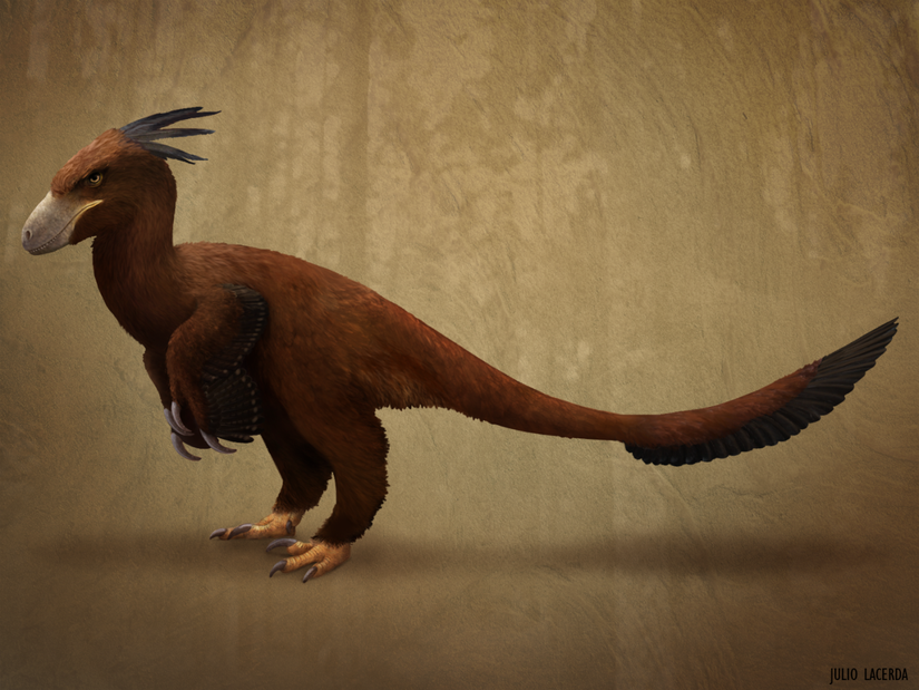 Utahraptor’un paleontolojik açıdan tutarlı illüstrasyonu.