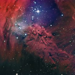  The Fox Fur Nebula 