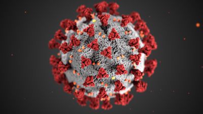 COVID-19 Otopsileri, Virüsün Tüm Vücuda Yayıldığını Ortaya Koyuyor!