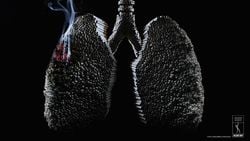 Sigarayı Neden Bırakmalısınız: Sigara İçenlerin Akciğer Kanserine Yakalanma ve Erken Ölüm Olasılıkları Nasıl Değişir?
