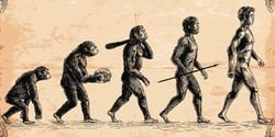 İnsan evrimi ve tarihi hakkında en çok merak ettiğiniz şey nedir?