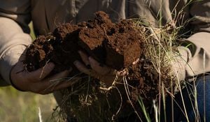 Soil Health Linked To Sustainable Land Management Practices